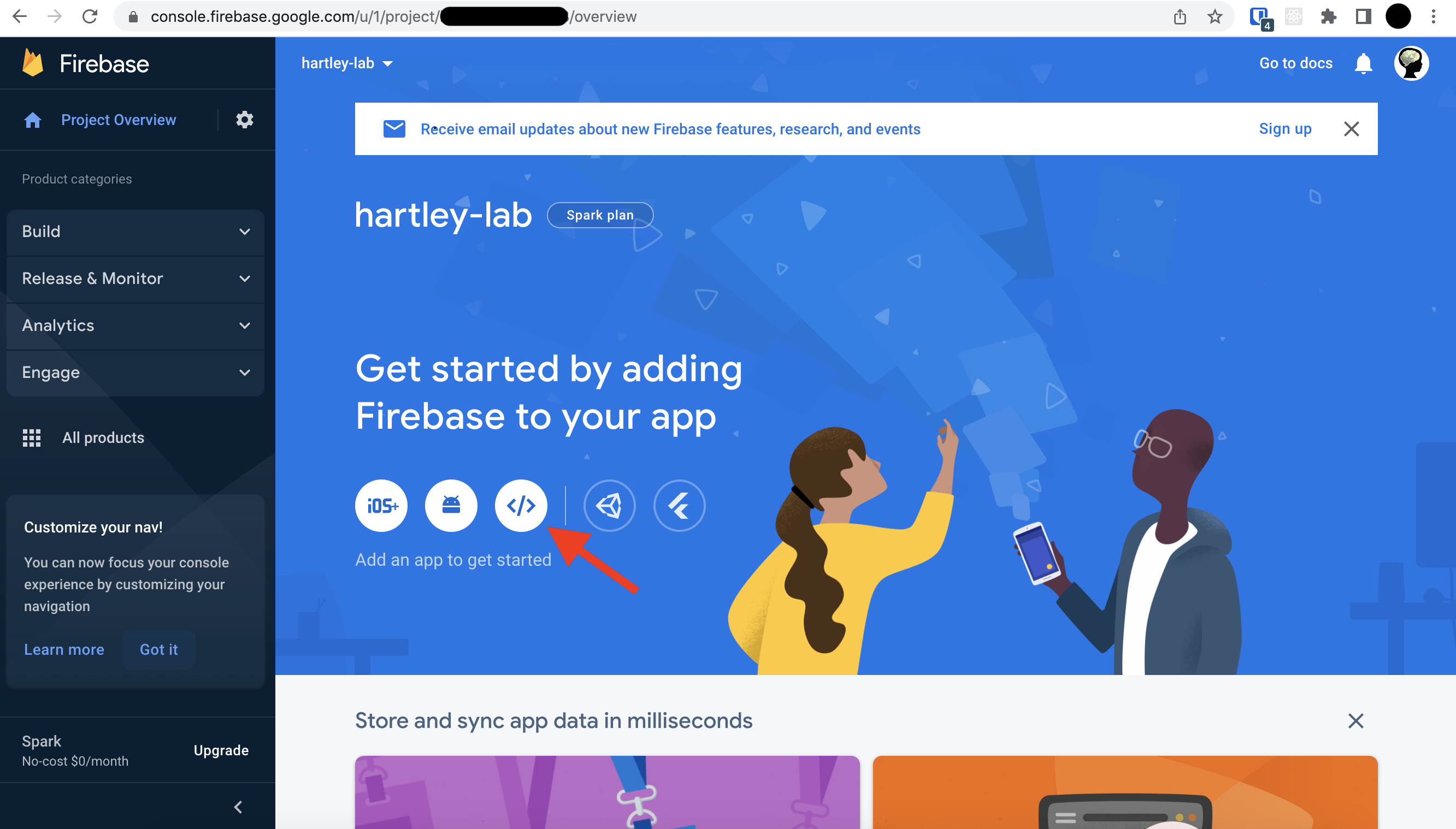 Firebase project overview